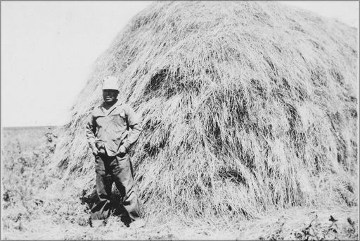 Poster, Many Sizes Available; Isaac Afraid Of Bear In Front Of His Hay Stack Nara 285670