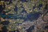 Poster, Many Sizes Available; Bern, Switzerland Taken From The International Space Station