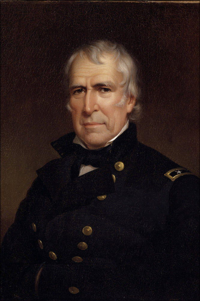 Poster, Many Sizes Available; James Reid Lambdin Zachary Taylor