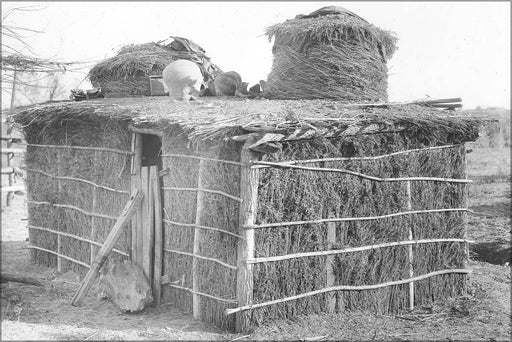 Poster, Many Sizes Available; Native Yuma Indian Dwelling, Ca.1900 (3532) #031215