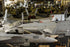 Poster, Many Sizes Available; F-18 Super Hornets In Hangar Bay Uss Nimitz (Cvn-68)