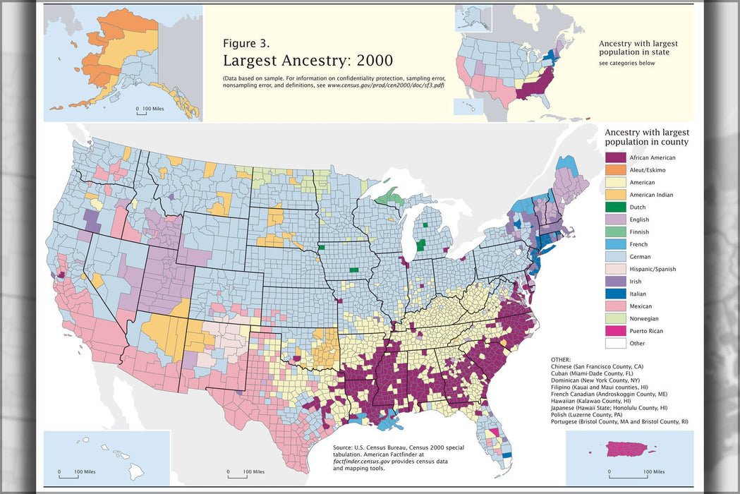 Poster, Many Sizes Available; Map Of Ancestory In The United States Of America