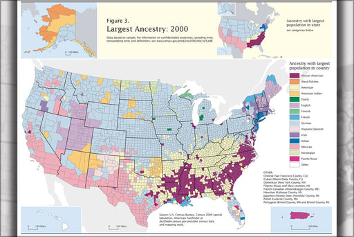 Poster, Many Sizes Available; Map Of Ancestory In The United States Of America