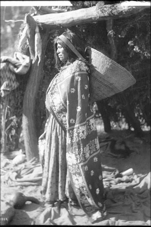 Poster, Many Sizes Available; Havasupai Indian Woman, Yunosi, Carrying A_Kathak_Or Basket On Her Back, Ca.1900 Chs 3354