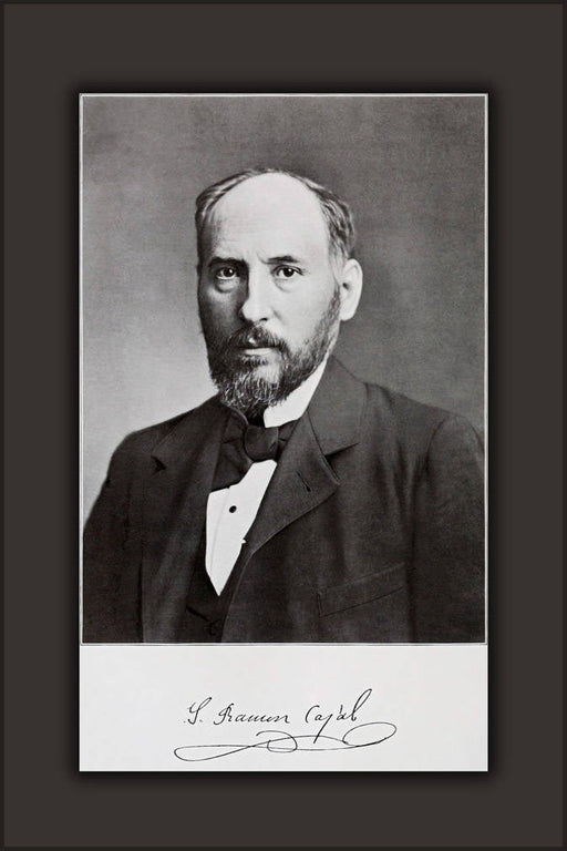 Poster, Many Sizes Available; Santiago RamÃ³n Y Cajal. Spanish Nobel Laureate In Medicine. 1899 Neuroscience