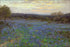 Poster, Many Sizes Available; Julian Onderdonk - Field Of Bluebonnets At Sunset (1919-1920) #031715