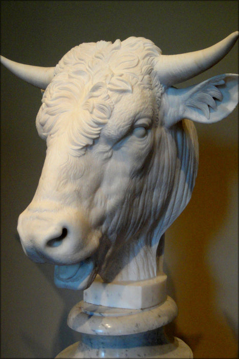 Poster, Many Sizes Available; Head Of A Bull By Gaetano Monti, 1824, Marble National Gallery Of Art, Washington Dsc08693