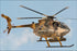 Poster, Many Sizes Available; Afghan Air Force Md-530F Cayuse Warrior Helicopter