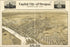 Poster, Many Sizes Available; Birdseye View Map Of Salem Oregon 1905