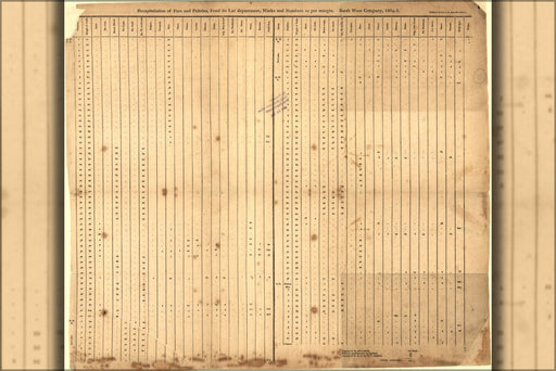 Poster, Many Sizes Available; Number Of Furs & Pelts North West Company, 1804-5