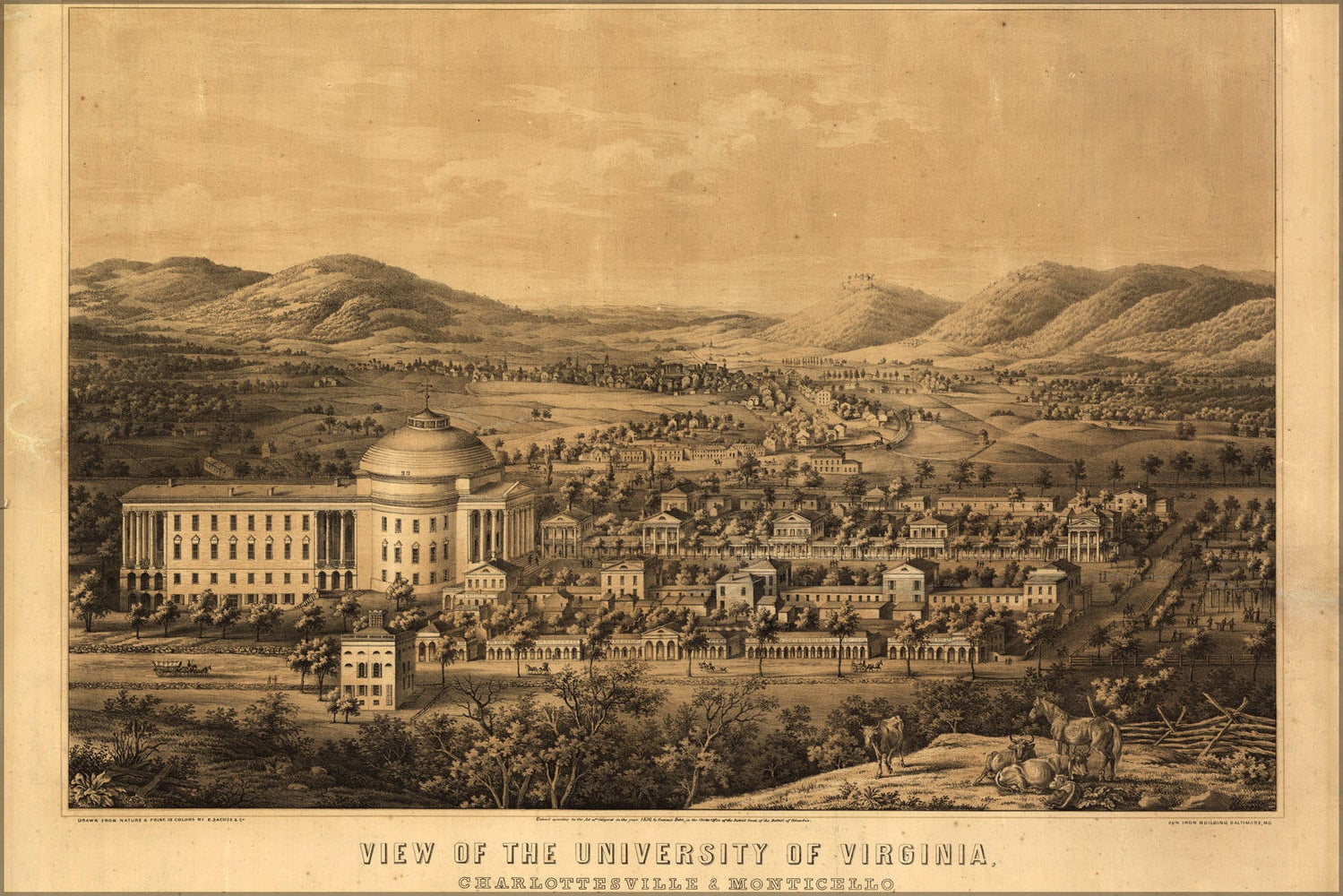 Poster, Many Sizes Available; Birdseye View Map Of The University Of Virginia, Charlottesville & Monticello, Taken From Lewis Mountain 1856