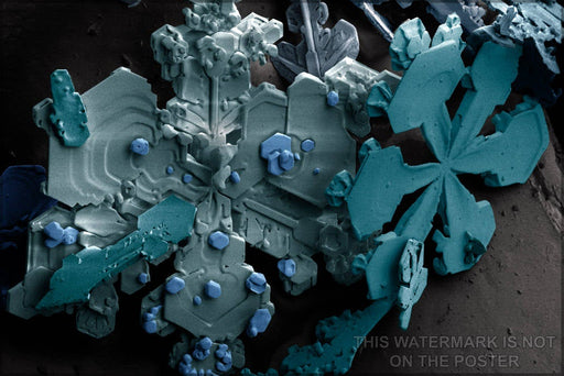 Poster, Many Sizes Available; Snow  Highly Magnified By A Low-Temperature Scanning Electron Microscope (Sem)