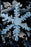 Poster, Many Sizes Available; Snowflake Through Electron Microscope P2