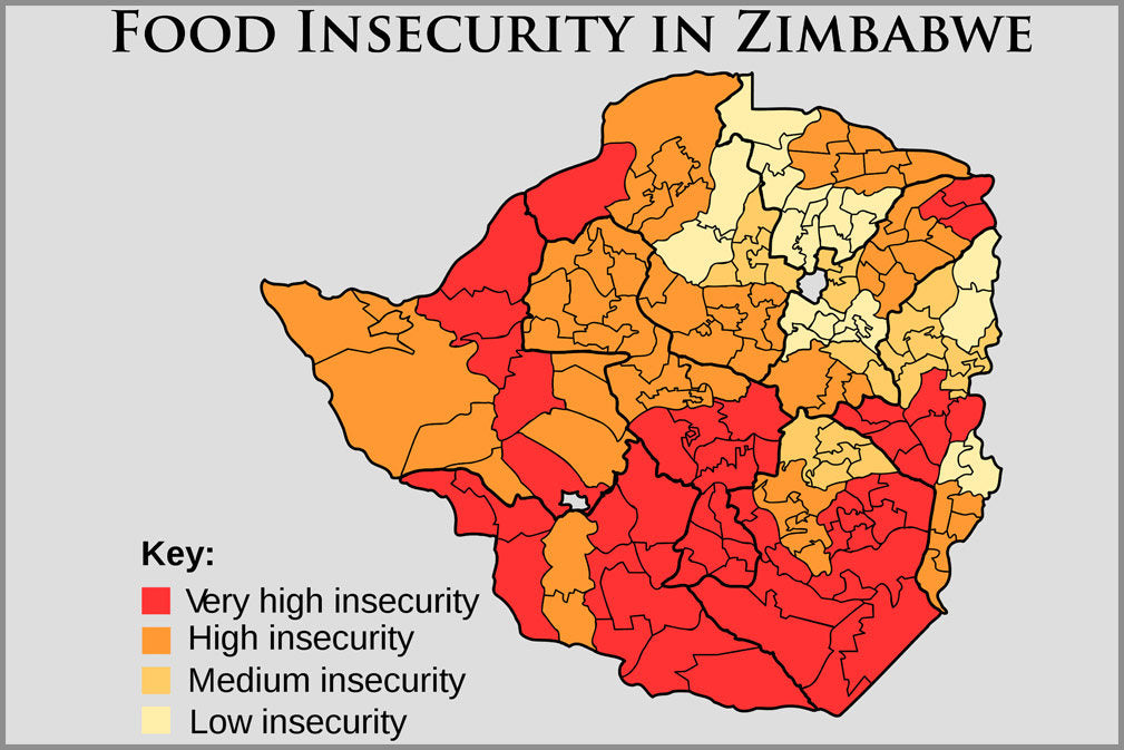 Poster, Many Sizes Available; Food Insecurity In Zimbabwe In June 2008