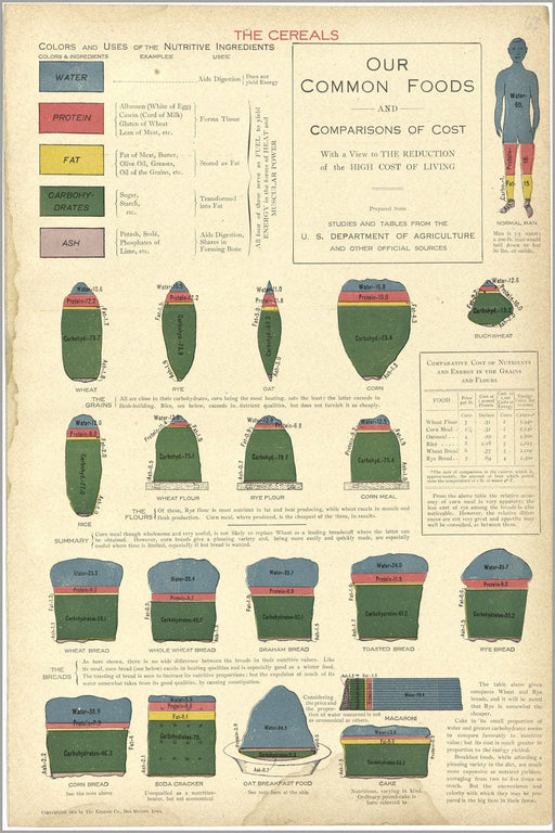 Poster, Many Sizes Available; Food Nutrition And Cost 1914