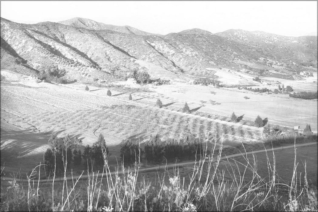 Poster, Many Sizes Available; Panoramic View Of Eagle Rock Valley, Los Angeles, Ca.1908 (6324) #031215