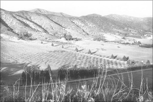 Poster, Many Sizes Available; Panoramic View Of Eagle Rock Valley, Los Angeles, Ca.1908 (6324) #031215