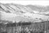 Poster, Many Sizes Available; Panoramic View Of Eagle Rock Valley, Los Angeles, Ca.1908 (6324) #031215