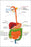 Poster, Many Sizes Available; Gastrointestinal Tract, Also Called The Digestive Tract