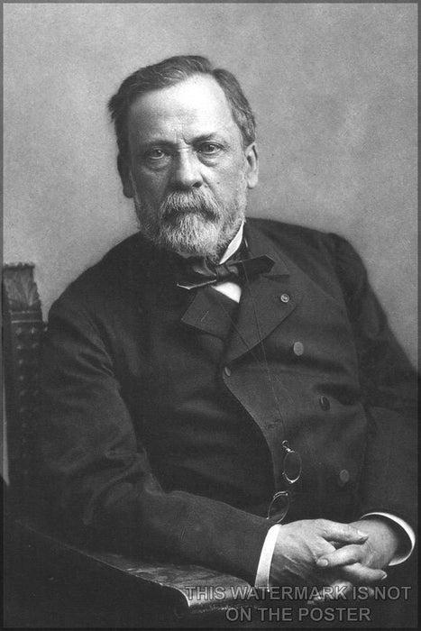 Poster, Many Sizes Available; Louis Pasteur