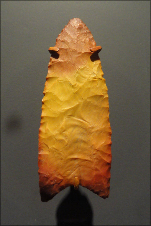 Poster, Many Sizes Available; Clovis Point, 11500-9000 Bc Arrowhead Spearhead Arrow Head