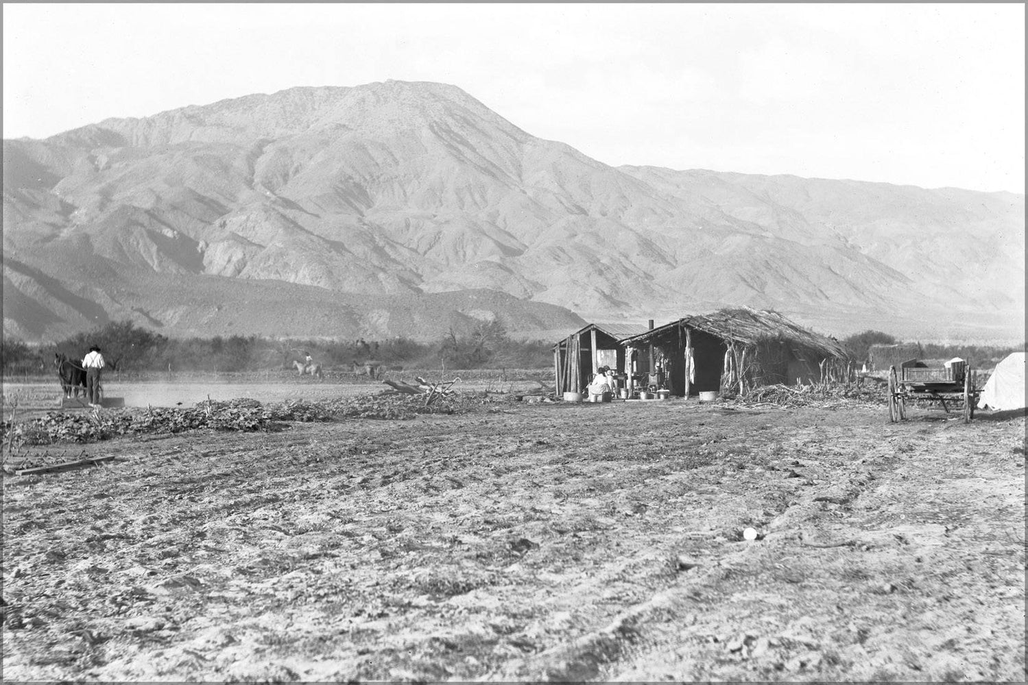 Poster, Many Sizes Available; Coahuilla Indians Cultivating Their Land At Torres, East Of Palm Springs (Or Martenus, Near Indio), Ca.1903-19