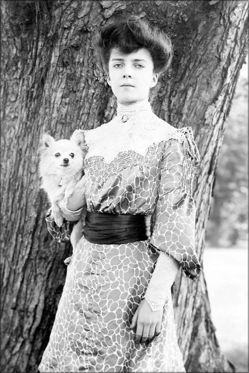 Poster, Many Sizes Available; Alicerooseveltwpekingesedog1902