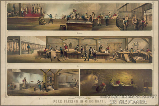 Poster, Many Sizes Available; Pork Packing In Cincinnati C.1873