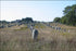 Poster, Many Sizes Available; Carnac Standing Stones