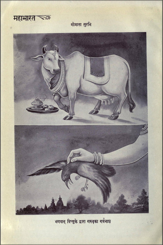 Poster, Many Sizes Available; Holy Cow Surabhi And Garuda Was Ashamed By Vishnu