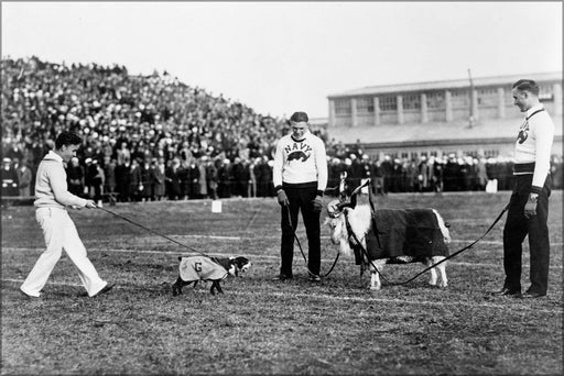 Poster, Many Sizes Available; Georgetown And Navy Mascots 1920S