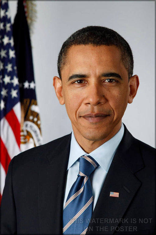 Poster, Many Sizes Available; President Barack Obama P2