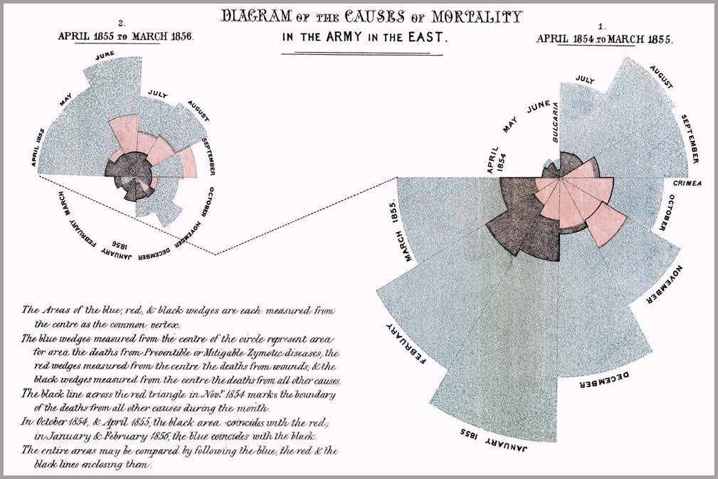 Poster, Many Sizes Available; Causes Of Mortality In The Army In The East By Florence Nightingale