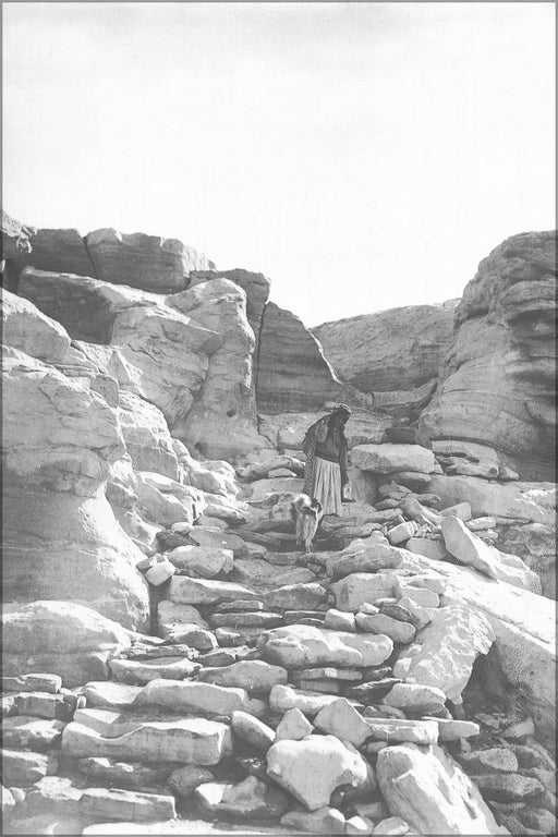 Poster, Many Sizes Available; Hopi Indian Woman And Dog Walking The Stone Steps On The Trail To The Village Of Mishongnovi, Ca.1900 (Chs-104