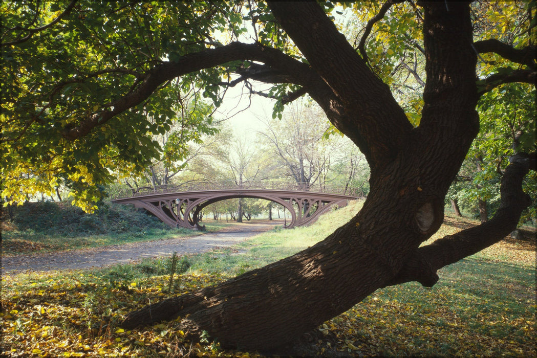 Poster, Many Sizes Available; Central Park Bridge New York City