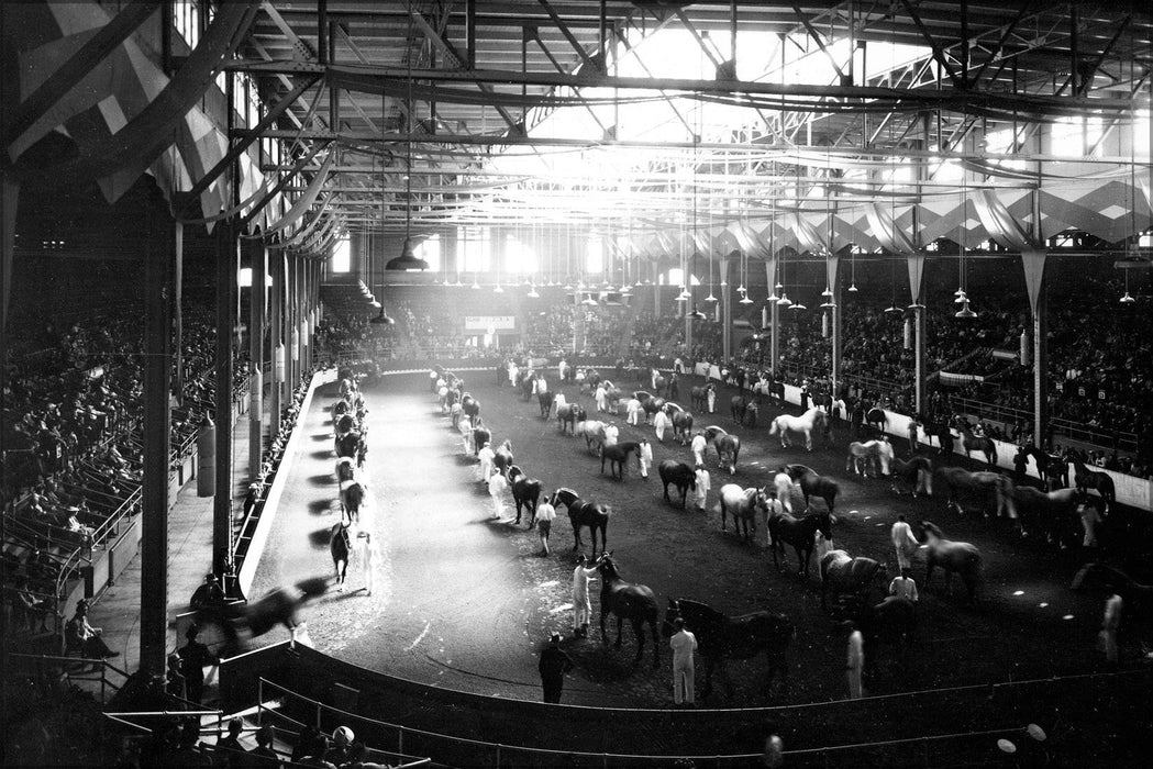 Poster, Many Sizes Available; Horse Judging In Coliseum, 1940