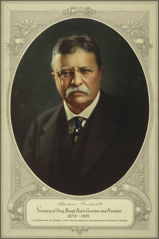 Poster, Many Sizes Available; President Theodore Roosevelt,Color Poster P15