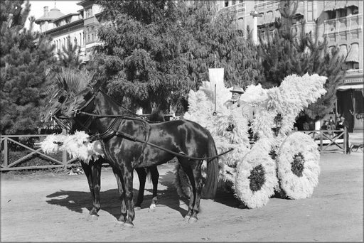 Poster, Many Sizes Available; Horse-Drawn Float Covered With Pampas Grass In The Pasadena Tournament Of Roses Parade, Ca.1903 (Chs-1453) #03