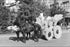 Poster, Many Sizes Available; Horse-Drawn Float Covered With Pampas Grass In The Pasadena Tournament Of Roses Parade, Ca.1903 (Chs-1453) #03