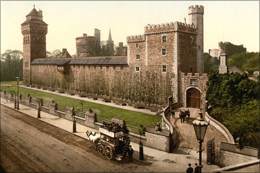 Poster, Many Sizes Available; Animal Wall, Cardiff, Wales C1890