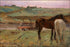 Poster, Many Sizes Available; Horses In A Meadow, 1871, National Gallery Of Art, Washington, Dc By Edgar Degas