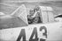Poster, Many Sizes Available; Tuskegee Airmen, 99Th Fighter Squadron