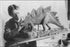 Poster, Many Sizes Available; Charles R. Knight Working On Stegosaurus In 1899 Paleo Art