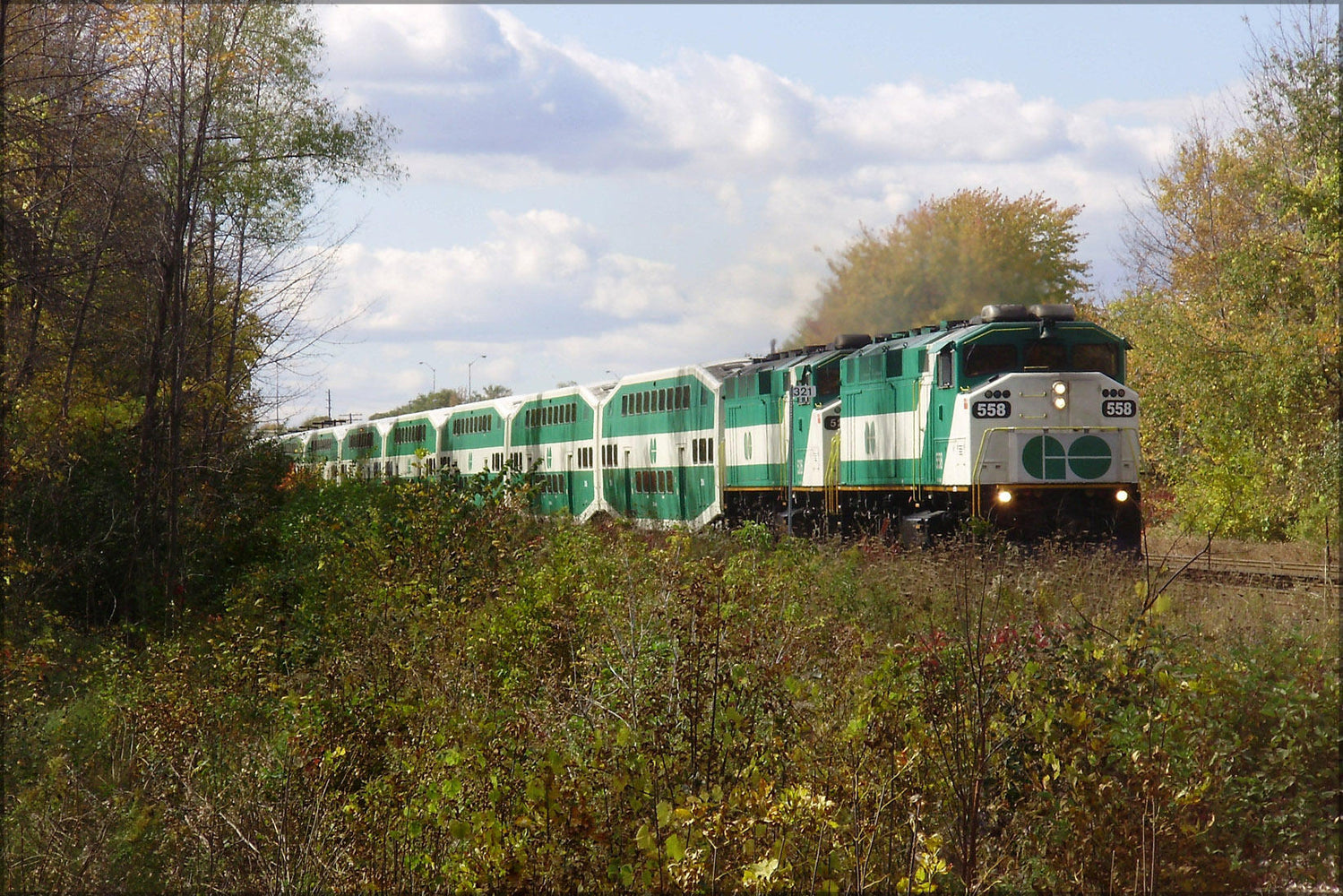 Poster, Many Sizes Available; Go 558 Pulling East From Guildwood