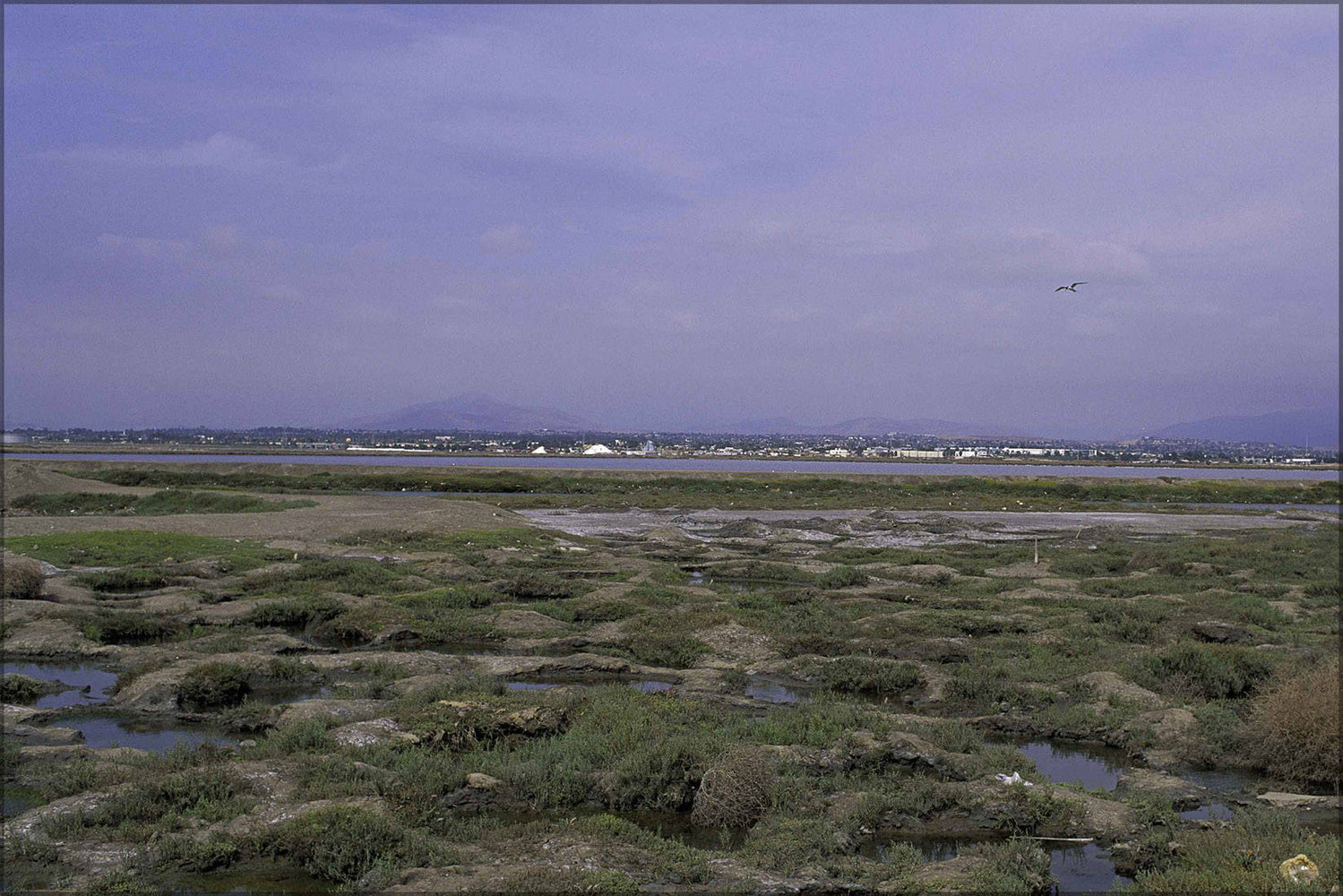 Poster, Many Sizes Available; Huge Salt Marshes Surrounding San Diego Bay