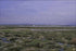 Poster, Many Sizes Available; Huge Salt Marshes Surrounding San Diego Bay