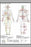 Poster, Many Sizes Available; Chinese Or Human Body Meridians For Martial Arts & Medicine
