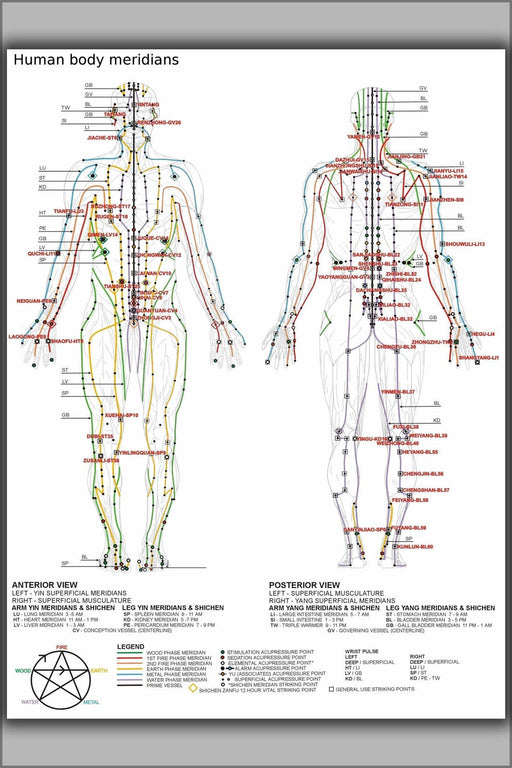 Poster, Many Sizes Available; Chinese Or Human Body Meridians For Martial Arts & Medicine