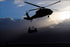 Poster, Many Sizes Available; Army Uh-60 Black Hawk & Ch-47F Chinook Helicopter