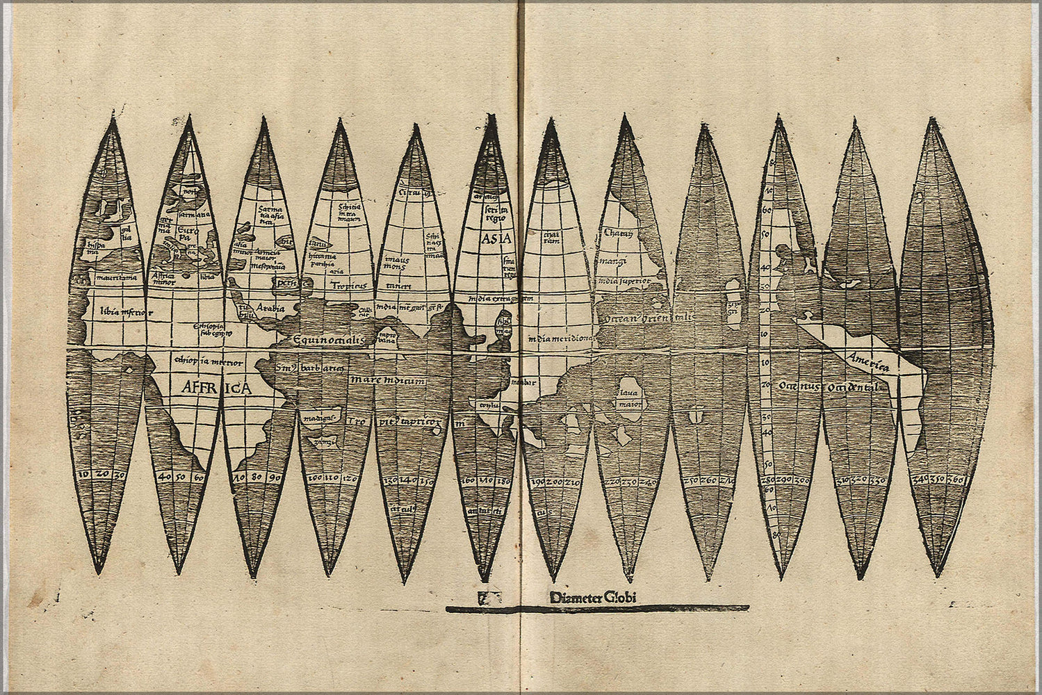 Poster, Many Sizes Available; WaldseemÃ¼ller, Globensegmente World Map 1507